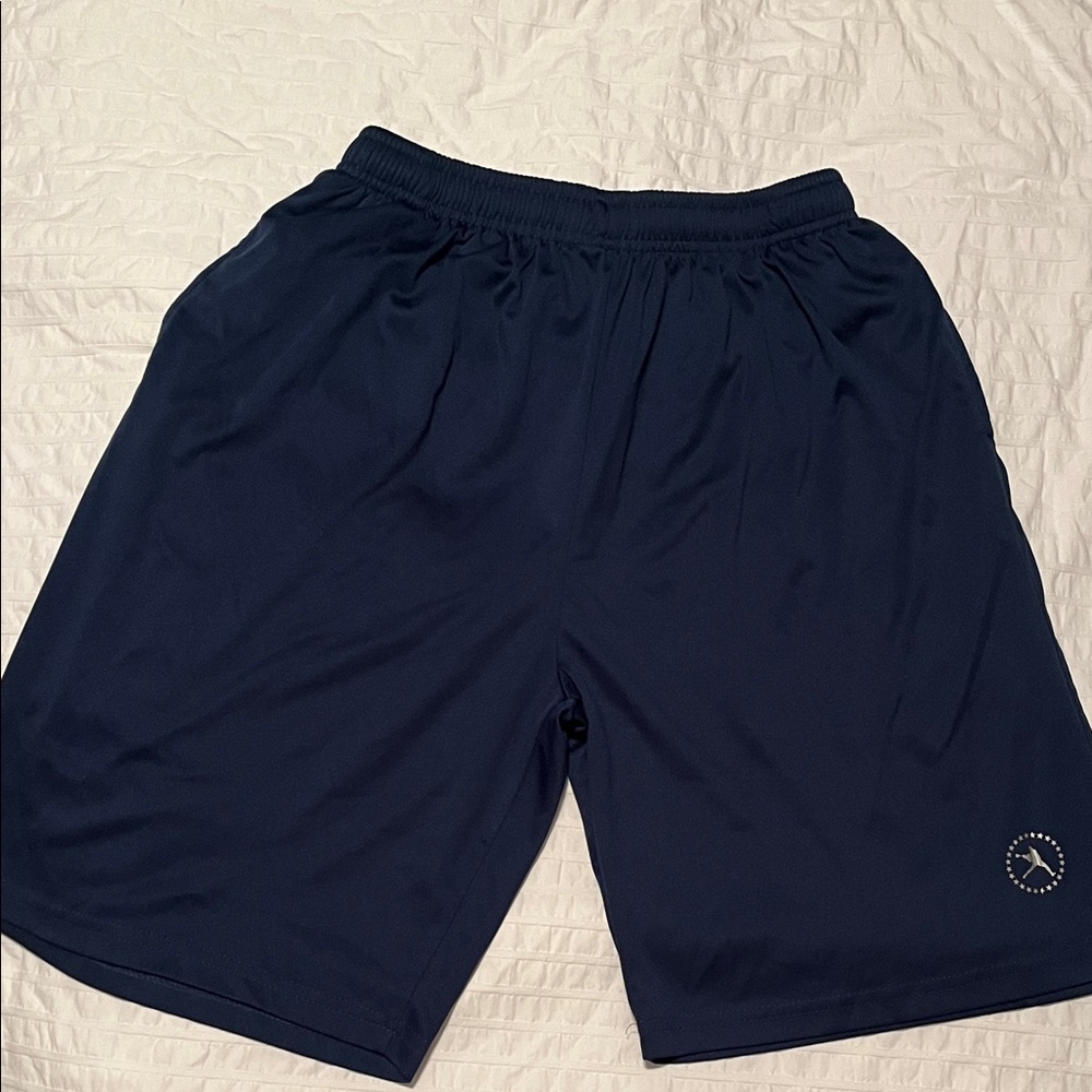 Men's Blue Athletic Shorts